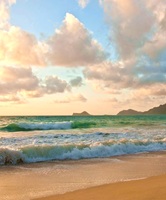 Oahu Hawaii USA 16